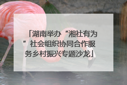 湖南举办“湘社有为”社会组织协同合作服务乡村振兴专题沙龙